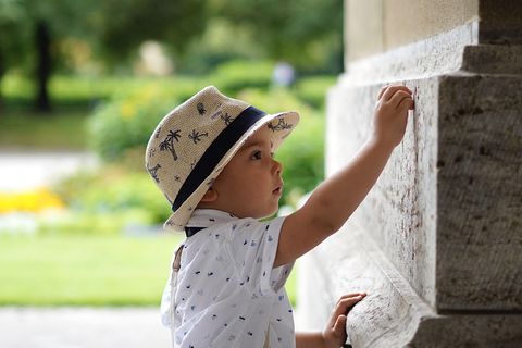 Munich: 13 city highlights - tour with professional photos