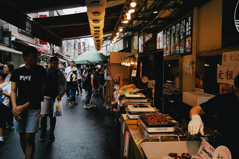 Tokyo Triangle: Tsukiji, Asakusa & Akihabara Private Tour Group Tour