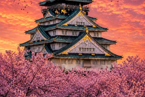 Kyoto & Osaka: Private Customizable Day Trip with Guide