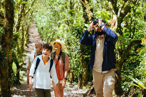 Moshi: Rau Forest Reserve Nature Walk & Community Tour