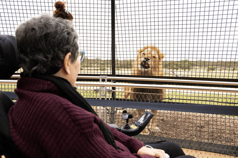 Experiência Lions 360 e um dia no Monarto Safari Park