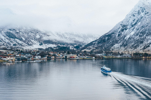 Bergen: Cruise to beautiful Rosendal by the Hardangerfjord