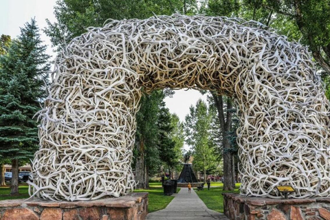 From Bozeman: Classic Yellowstone Tour (2 Days & 1 Night)