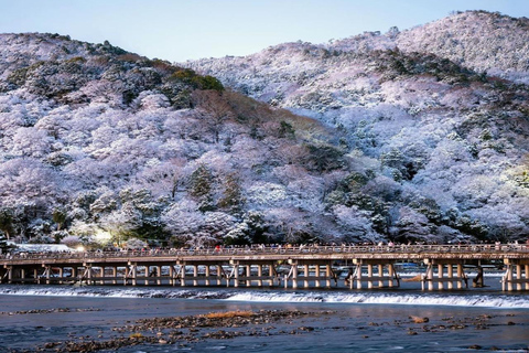 Kyoto Full-Day Private Customizable Tour with English Guide Kyoto: Private Full-Day Tour with Guide