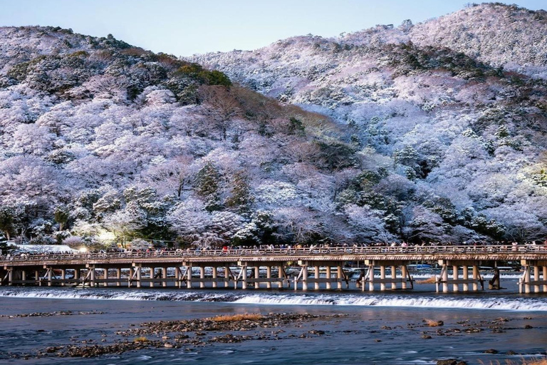 Kyoto Full-Day Private Customizable Tour with English Guide Kyoto: Private Full-Day Tour with Guide