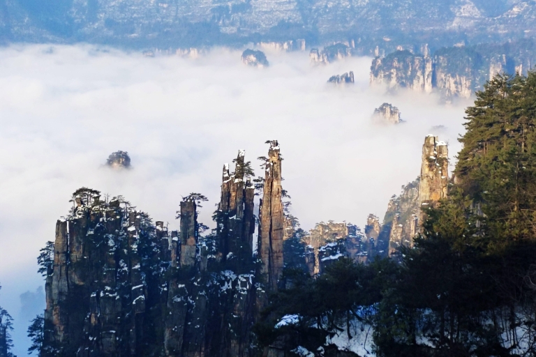 Paquete turístico de un día al Parque Forestal Nacional de Zhangjiajie