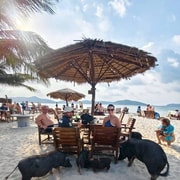 Koh Samui: Pig Island & Koh Tan Snorkeling w/Viewpoint Hike Koh Samui: Pig Island & Koh Tan Snorkeling w/Viewpoint Hike
