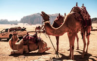 Explore Jordan's Top Attraction sites - 5 Days Tour - Housity