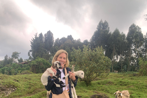 Musanze: Guided Mukungwa River Nature Walk with Local Guide