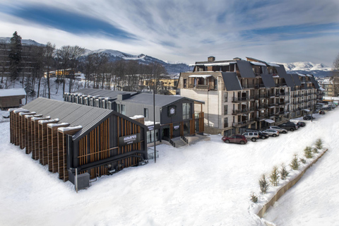 From Tbilisi Bakuriani and Borjomi Day Trip