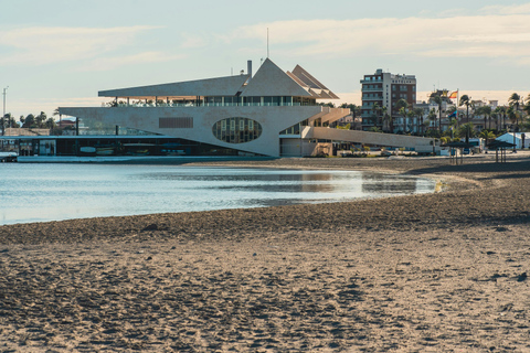 Vigo: Santiago de Compostela Guided Tour with Cathedral