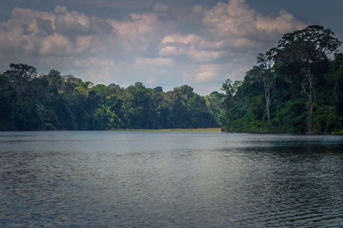 Manu: 8-Day Amazon Wildlife & Jungle Expedition