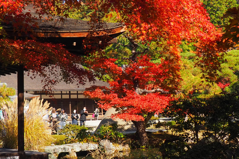 E-Bike Tour in Kyoto with Asuka, Japanese graduate student