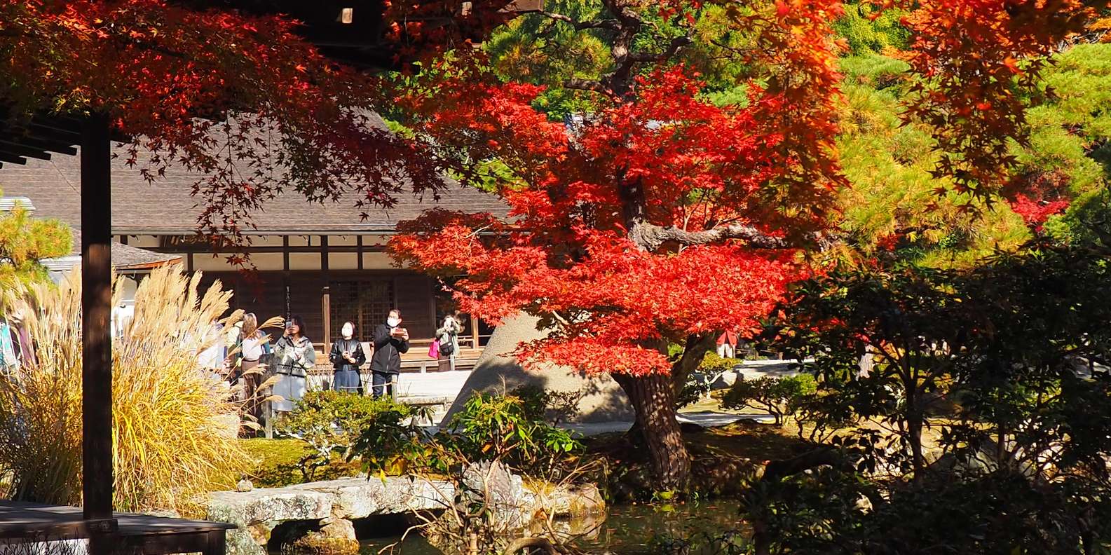 Kyoto experience — temples, geisha, bamboo grove — image 72
