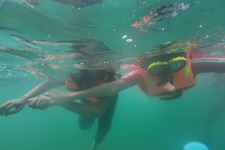 Mirissa Snorkeling Trip with Sea Turtles & Coral Reef