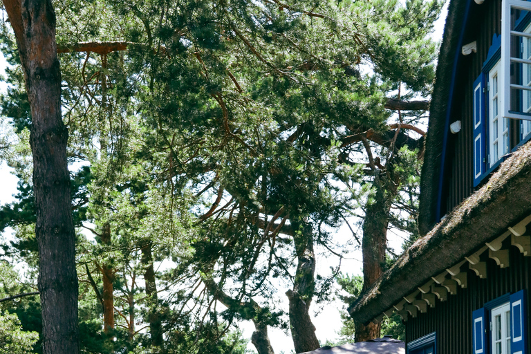 Day Group Tour: Curonian spit (Neringa) from Klaipeda DFDS