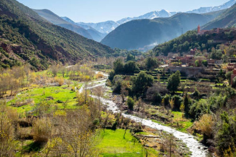 Marrakech: Ourika Valley,Waterfalls, Atlas & Guide & Lunch Marrakech: Ourika Valley,Waterfalls ,Atlas Mountains