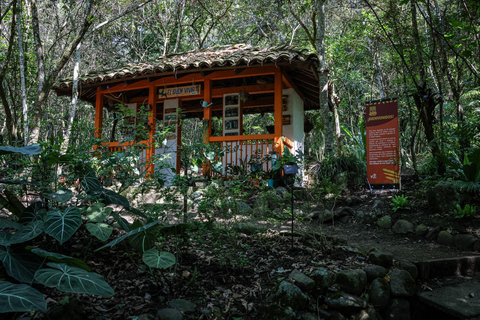 Billet d'accès au zoo de Cali