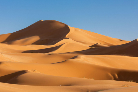 From Fes: 3-Day Merzouga Desert Tour to Marrakech Standard Desert Camp Experience (Shared Facilities)