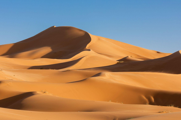 From Fes: 3-Day Merzouga Desert Tour to Marrakech Standard Desert Camp Experience (Shared Facilities)