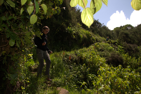 Discover Aberdare Park, Lake Naivasha & Hells Gate (3 days) Aberdare Park, Lake Naivasha & Hell's Gate (from Nairobi)