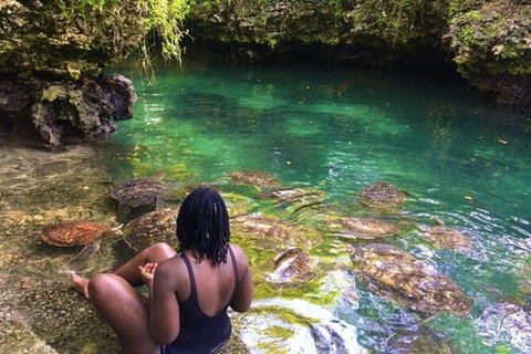 Zanzibar: Jozani forest, Sea tortoises & Mtende beach tour Private tour no Hotel pick and drop off included