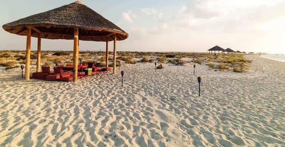 Doha: Al Safliya Island Cruise with Lunch and Swim