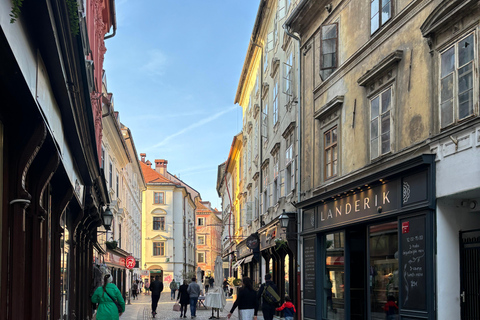 Ljubljana: E-Scooter Tour mit Verkostung lokaler Produkte