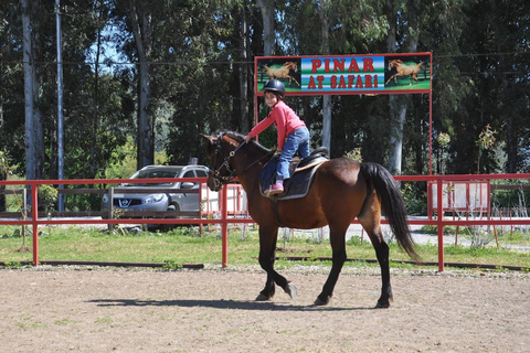 Marmaris: Guided Horseback Riding Tour with Hotel Pickup Horseback Riding Experience with Hotel Transfers
