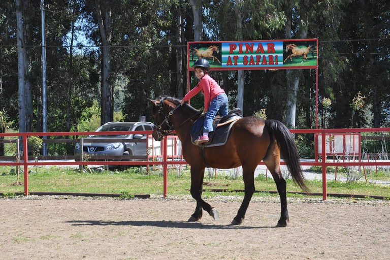 Marmaris: Guided Horseback Riding Tour with Hotel Pickup Horseback Riding Experience with Hotel Transfers