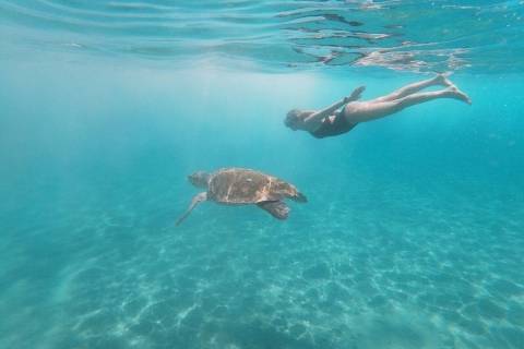 Zakynthos: Rejs na Wyspę Żółwi z przystankiem na pływanie