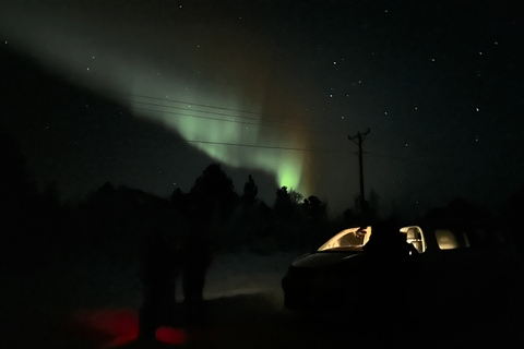 Excursion en minibus dans le parc national d'Abisko pour observer l'aurore boréale