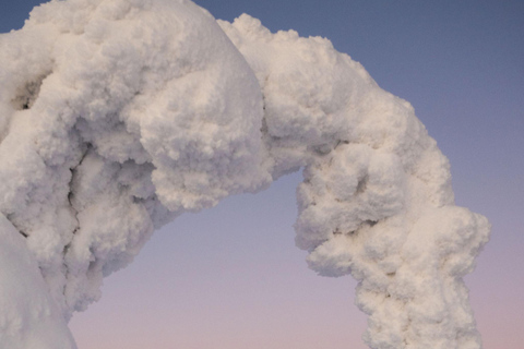 Rovaniemi: Riisitunturi Snow Monsters Tour & Campfire BBQ