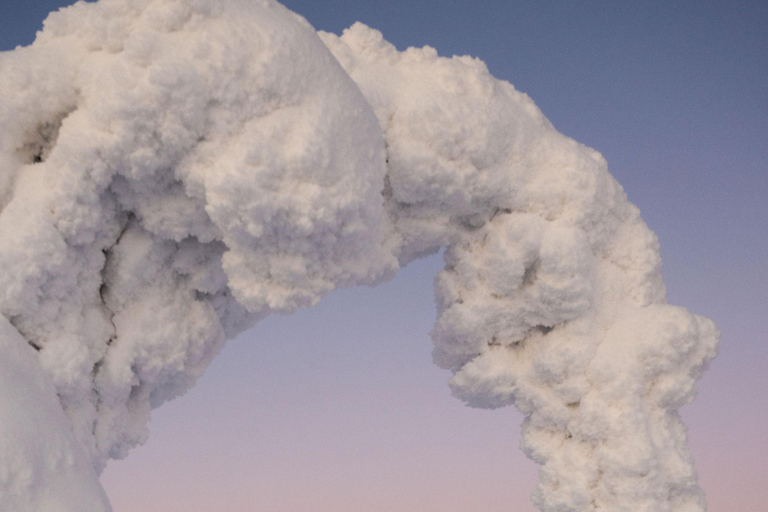 Rovaniemi: Riisitunturi Snow Monsters Tour & Campfire BBQ