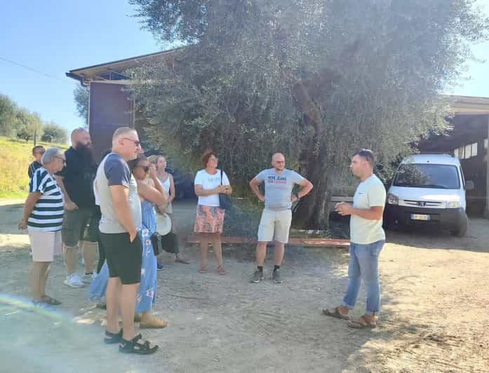 Seggiano: Visita a uma fazenda típica da Toscana com degustação de azeite de oliva