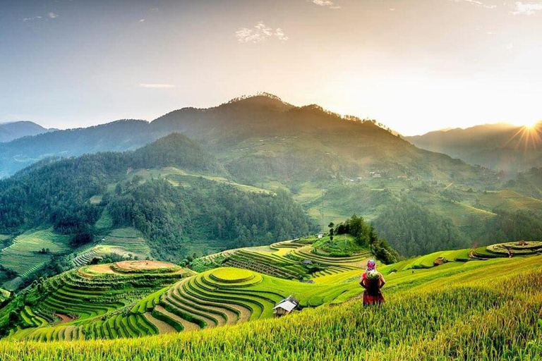 From Hanoi: Visit Sapa 3 Days & See The Terraced Fields Group Tour With A 4-Star Hotel