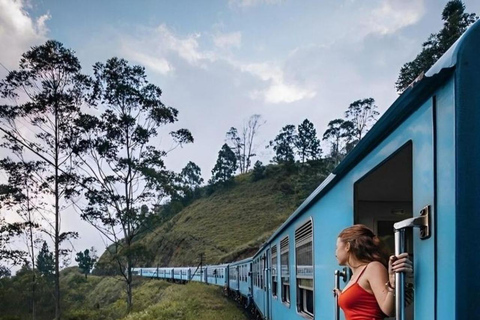 Kandy: Temple of Tooth, Train Ride, & Cave Waterfall Tour