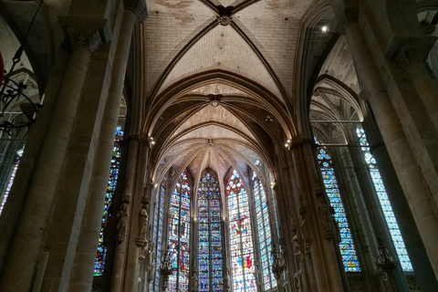 Carcassonne: Private Guided Tour with Castle Entry Ticket