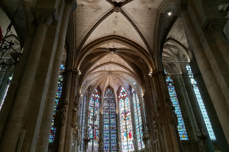 Carcassonne: Private Guided Tour with Castle Entry Ticket