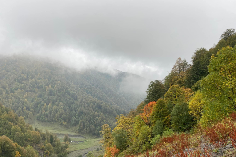 Tbilisi: Pankisi Gorge Horse Riding Tour with Dinner