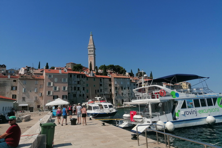 Istria en un día: Tour privado con cata de vino y aceite