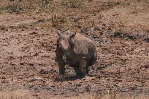 Nairobi: National Park, Karen Blixen & Kazuri Beads Factory