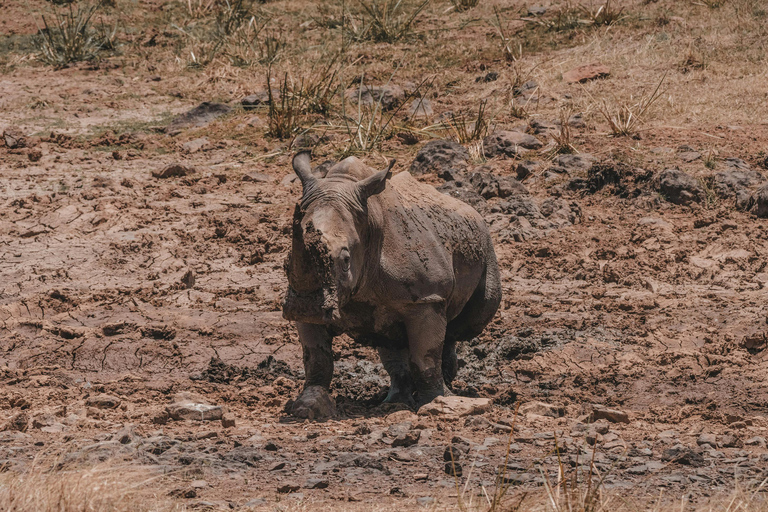 Nairobi: National Park, Karen Blixen & Kazuri Beads Factory