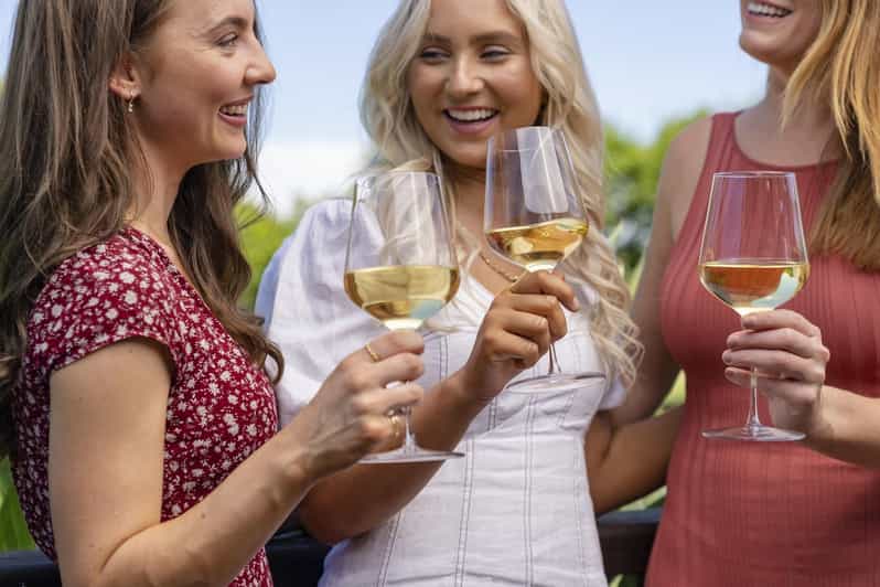 Swan Valley : vignobles avec déjeuner et croisière fluviale