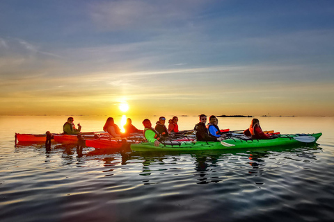 إيجوم: جولة جزر لوفوتن منتصف الليل صن كاياك