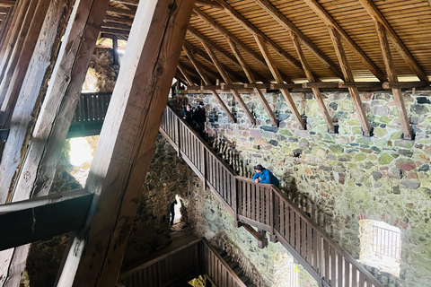 Da Helsinki: Rovine del castello di Raasepori e centro storico di Ekenäs