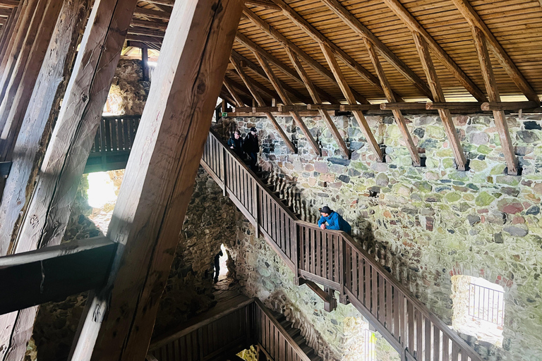 Da Helsinki: Rovine del castello di Raasepori e centro storico di Ekenäs