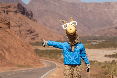 Cafayate: Tour de dia completo por bodegas y degustacion de vinos