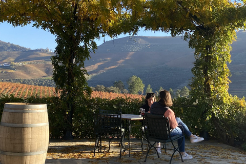 From Porto: 2 Boutique Wineries w/ Winery Lunch & 1-h cruise Tour in English