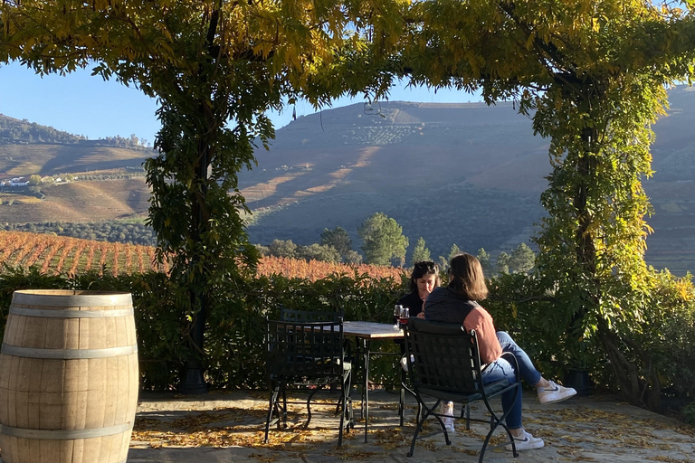 From Porto: 2 Boutique Wineries w/ Winery Lunch & 1-h cruise Tour in English